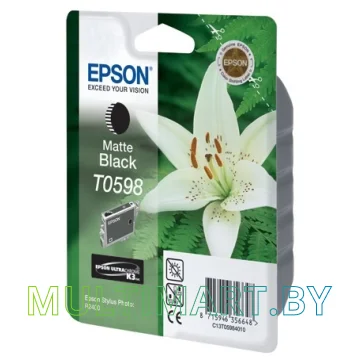Картридж Epson C13T05984010 картинка 2